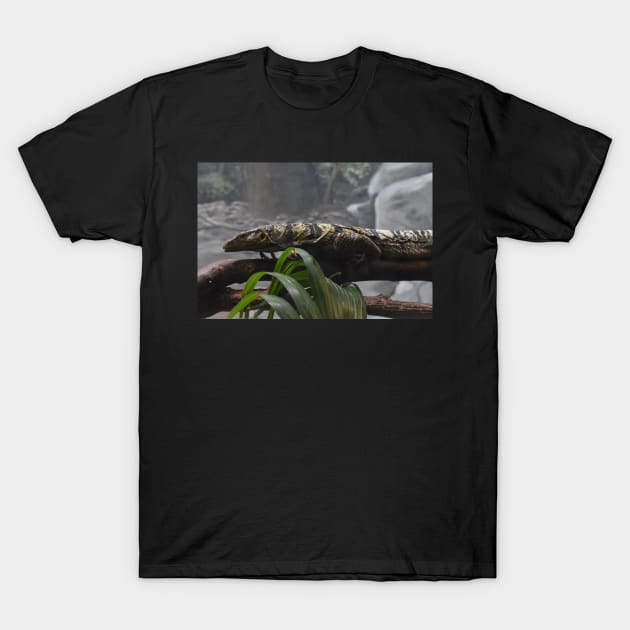 Monitor Lizard T-Shirt by MarieDarcy